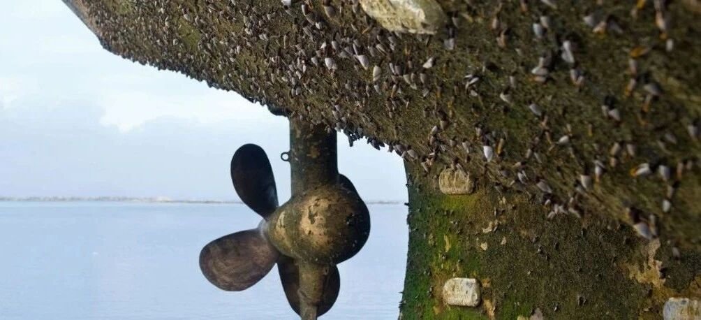 The ship was severely corroded in the ocean