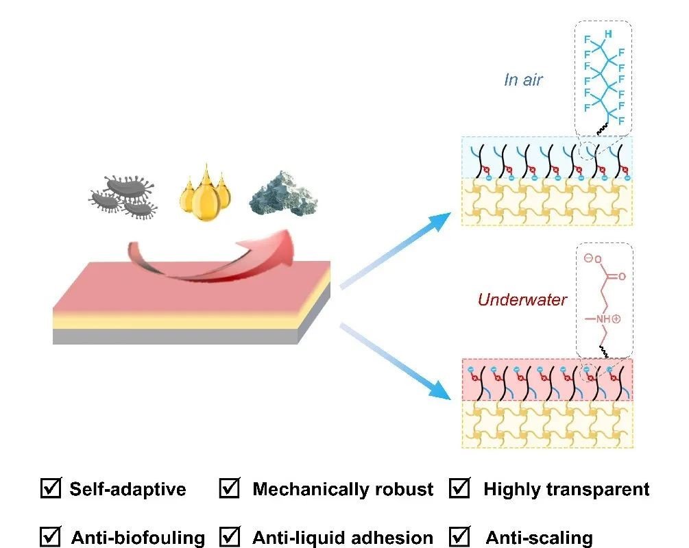 Broad-spectrum anti-adhesion mechanism of adaptive zwitterionic polysilazane coatings