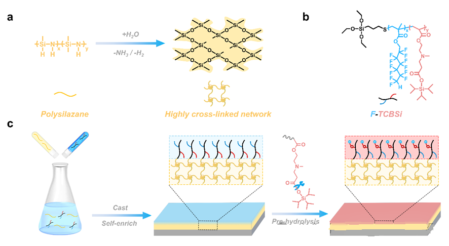 Preparation route of adaptive zwitterionic polysilazane coatings