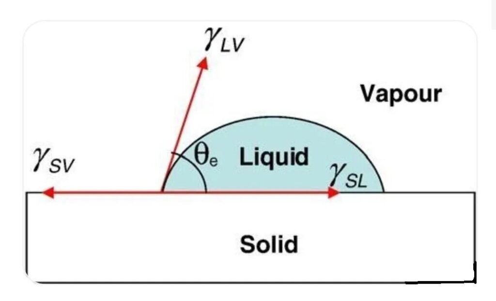 determine whether it is hydrophobic or hydrophilic